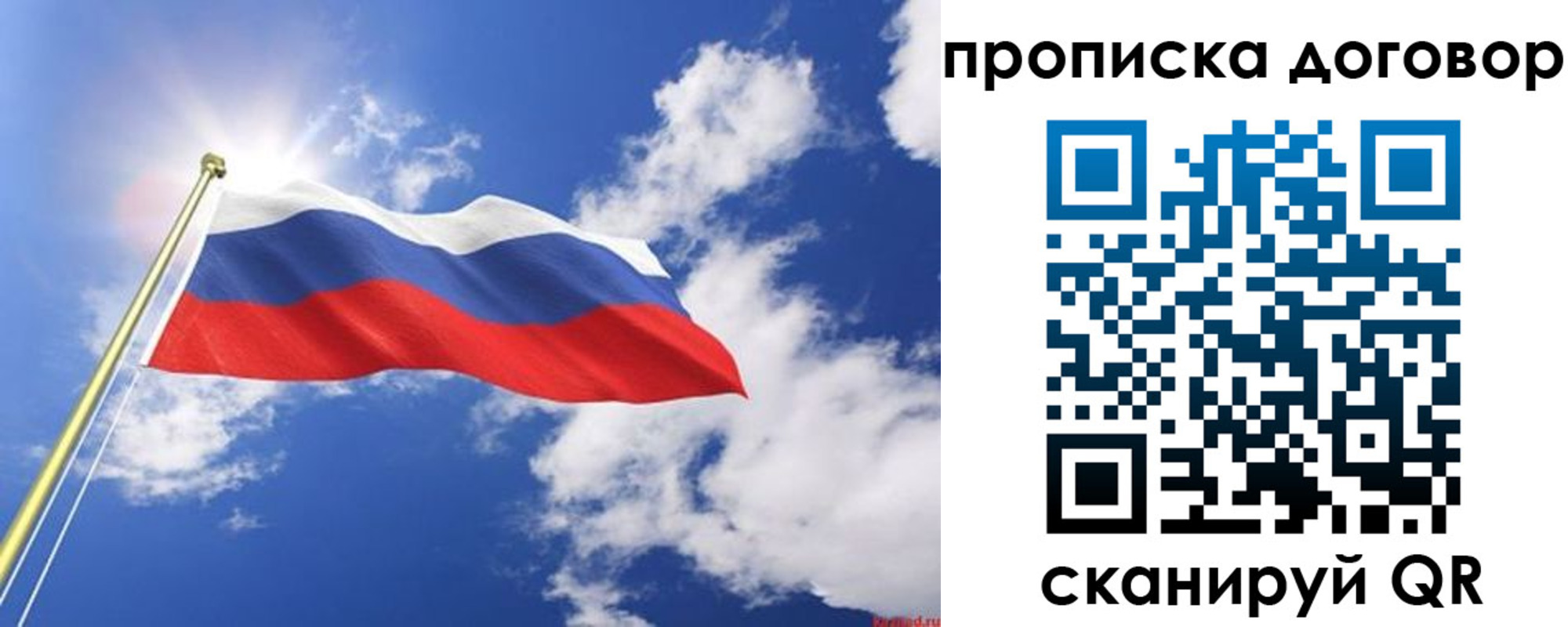 прописка гарантия в Лыткарино